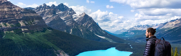 Male student looking over Peyto Lake in Banff National Park, Alberta